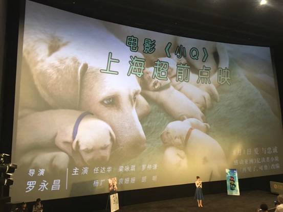 TOKO助力《小Q》超前观影 观众几度落泪